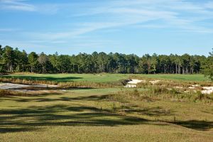 Tree Farm 13th